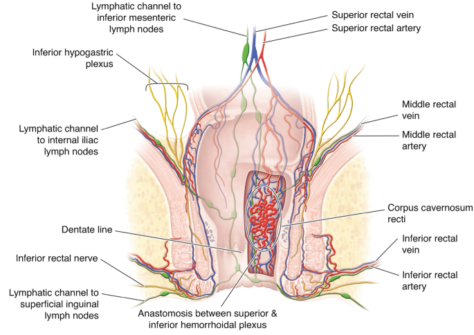 sliding anal theory